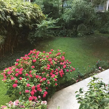 Havre De Paix En Plein